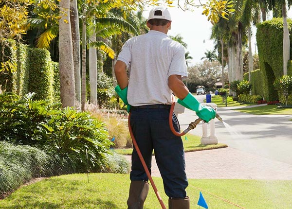 About Marion MA Pest Control Pros
